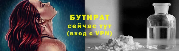 шишки Корсаков