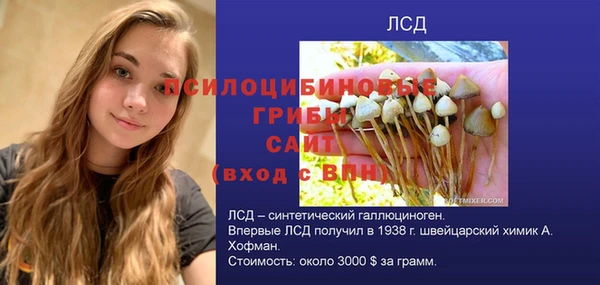кокс Краснослободск