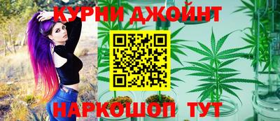 эйфоретик Кингисепп