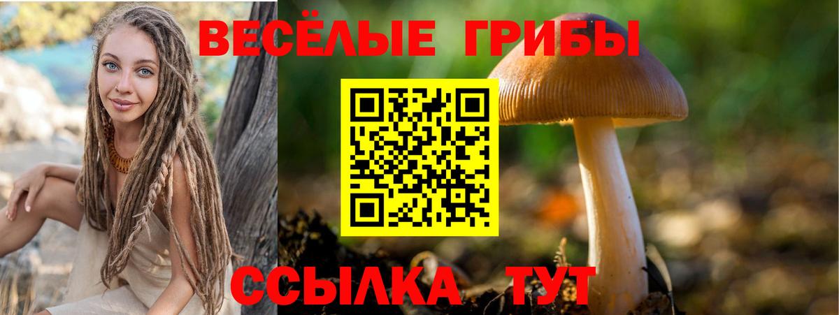 Галлюциногенные грибы Psilocybine cubensis Туапсе