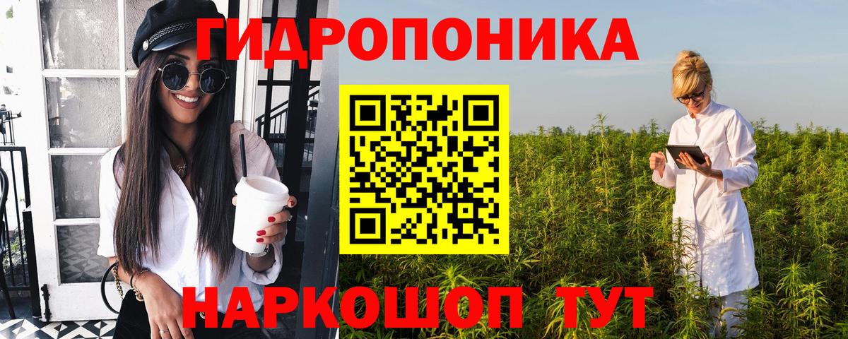 Бошки марихуана White Widow  МАРИХУАНА White Widow  Туапсе  Вход с VPN  Марихуана AK-47 